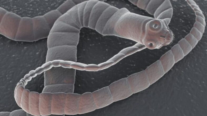 Parasiten in Oralglismo