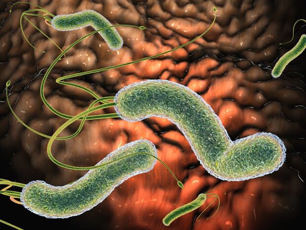 Schädliche Parasiten im menschlichen Körper.